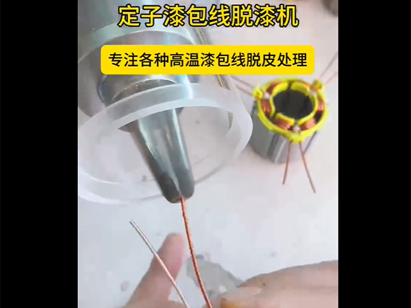 定子漆包线脱漆机