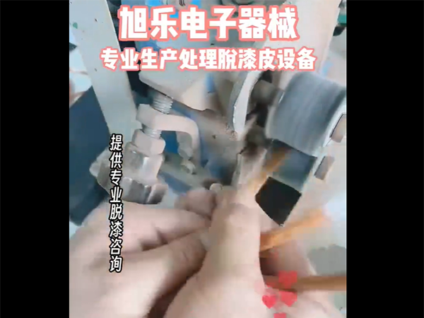 处理脱漆皮设备
